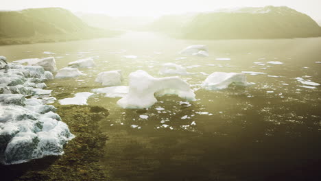 icebergs drift in calm waters at golden hour in a remote area