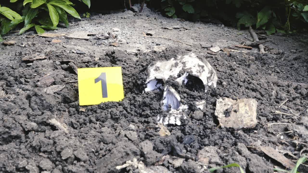 Police placing crime scene evidence marker next to buried human skull