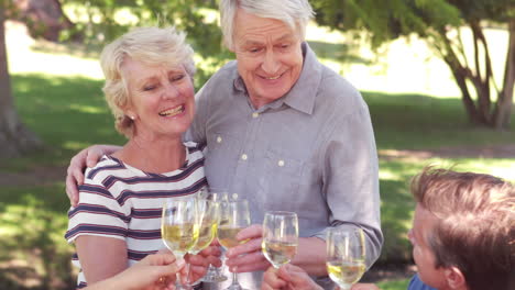 happy family toasting during a picnic