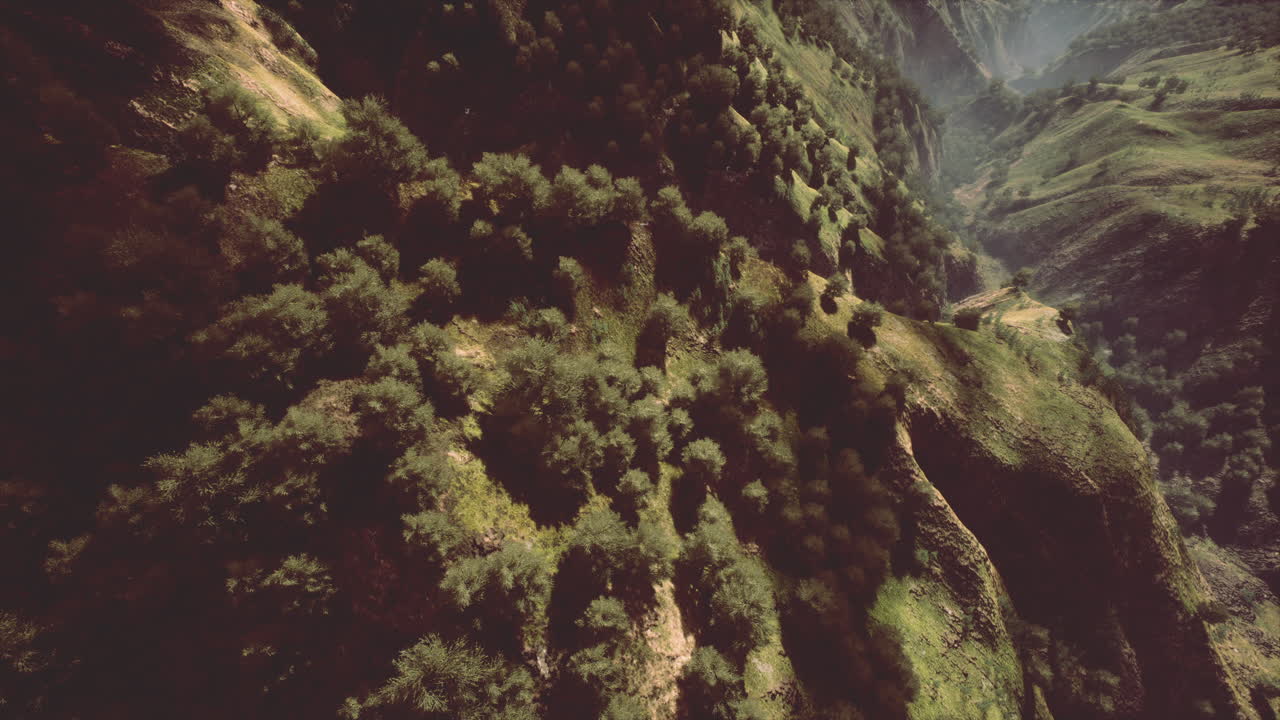 bosques interminables en un día soleado con perspectiva en color