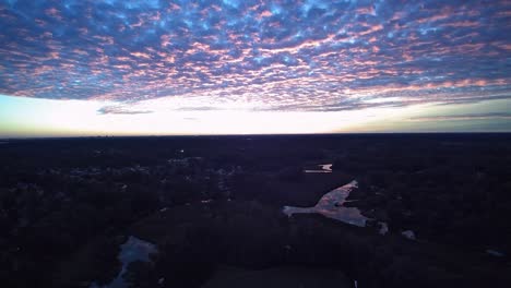 amanecer sobre un pantano local con una paleta de colores ligeramente más fría