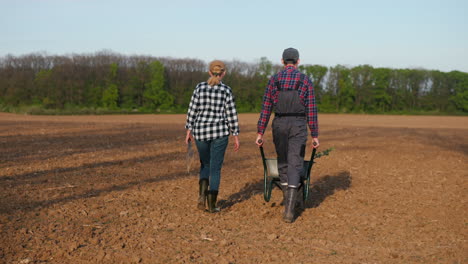 agricultores que siembran en un campo