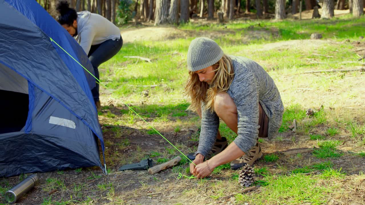 друзья устанавливают палатку в лесу в солнечный день 4k