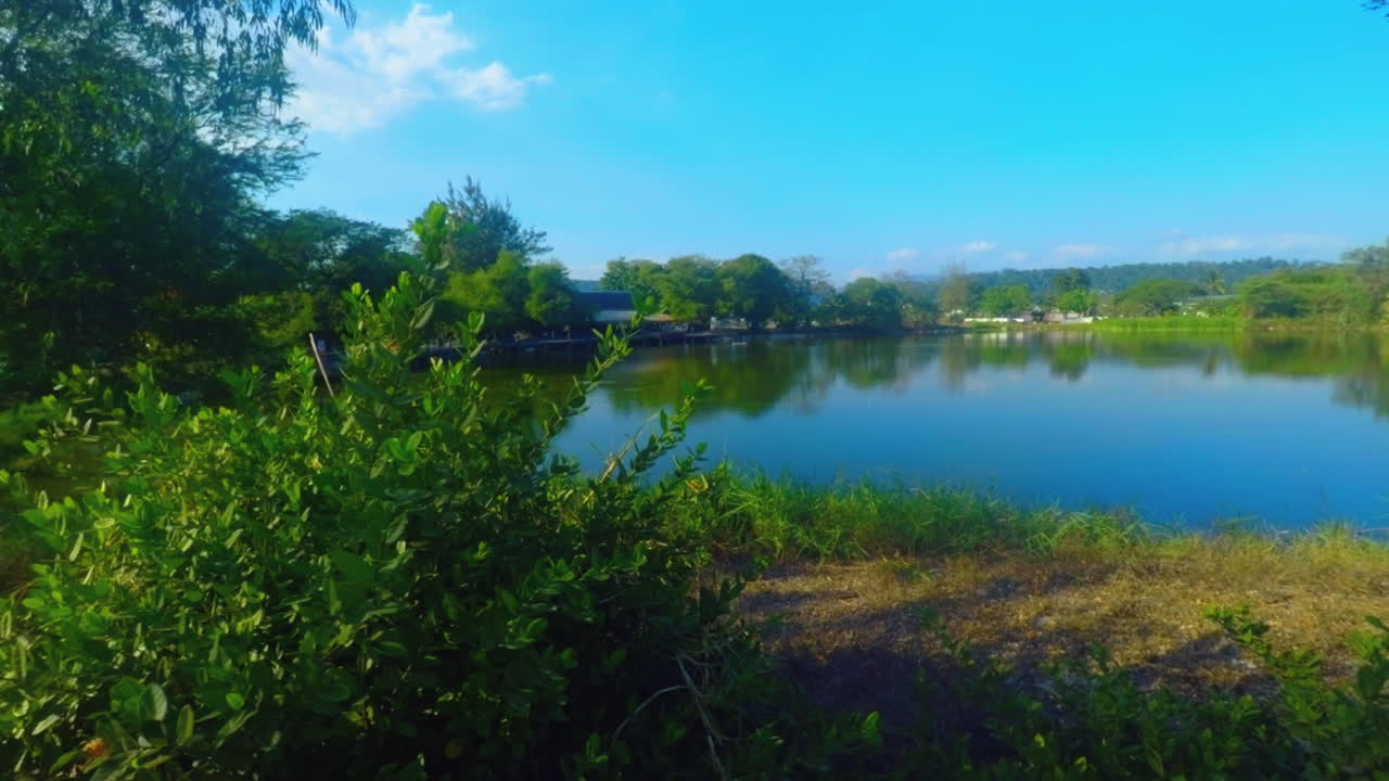Captivating View of Lagoon With Green Trees and Plants in the Background, Olongapo City, Philippines