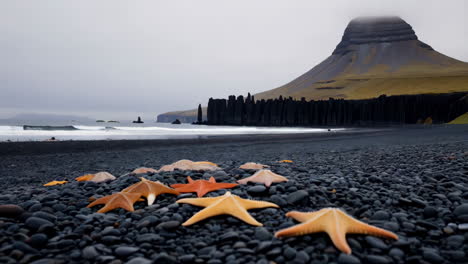 starfish on a black pebble beach with basalt columns and a mountain