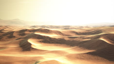 sand dunes at sunset in sahara desert in morocco