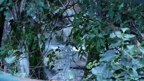 Pequeña-Cascada-Detrás-De-Ramas-De-árboles-Y-Hojas-Verdes