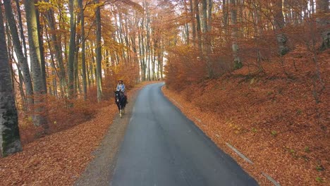 jinete femenino montando un hermoso caballo en el bosque naranja en otoño