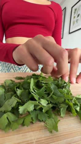 chopping fresh cilantro