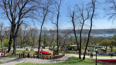 istanbul tulip festival.