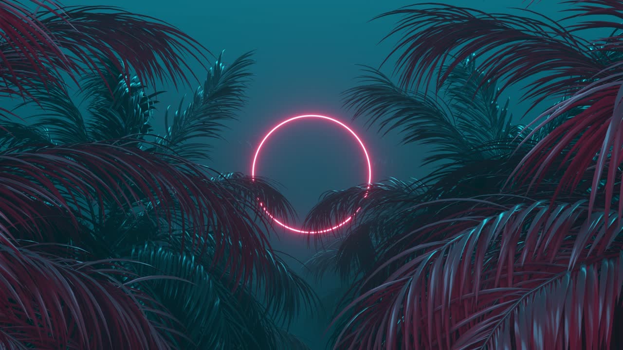 el marco del círculo brillante de retroonda aparece en la animación en bucle de la palmera tropical