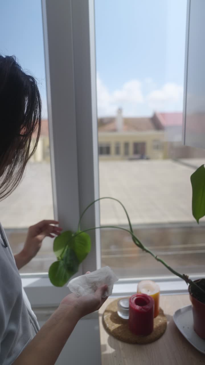 Woman Cleaning Window and Plants