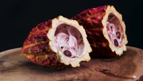 rotación de la vaina de la fruta del cacao cortada por la mitad - theobroma cacao