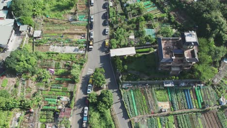 drone flying over agriculture farm land plots of vegetables in zhuwei, taipei