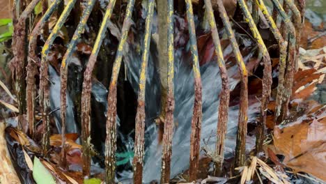 4k-slow-motion-60fps-clip-of-water-rushing-through-a-drainage-port-with-bright-fall-colors-and-leaves