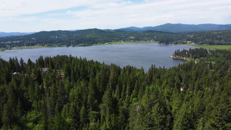 reveal drone view of the forest with lake on the background in northern idaho