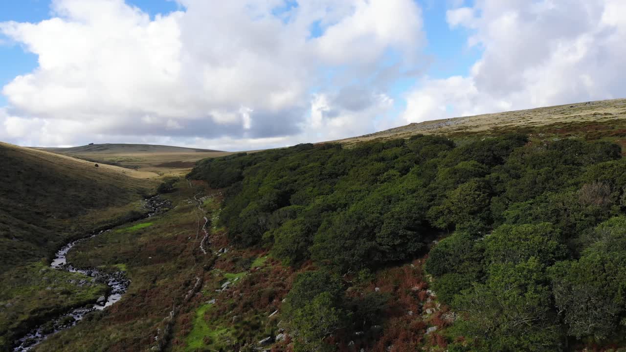 wistman's wood dartmoor england의 공중 상승 전망