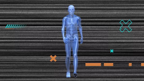 animation of shapes and digital human skeleton walking over lines on black background