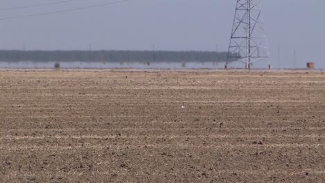 Long-shot-of-tred-soil-in-dry-regions-of-California