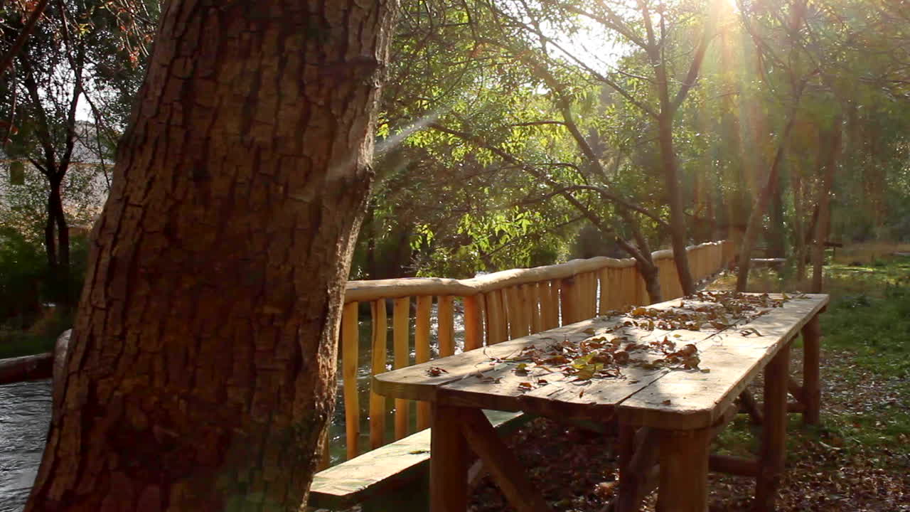 mesa de madera con banco por río en jardín bañado en colores otoñales
