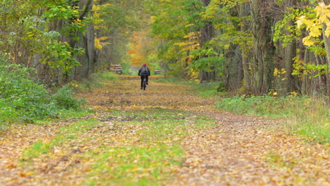 cyclist rides down leaf-covered forest trail in fall