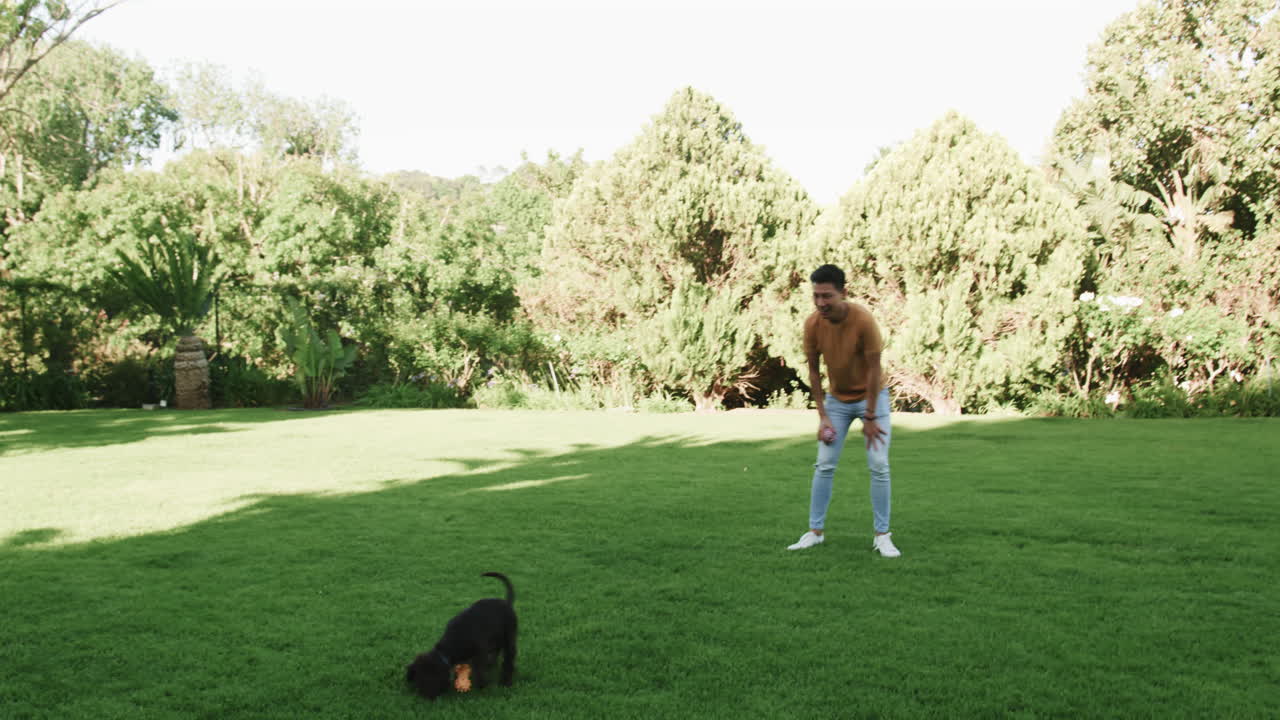 Asian man playing fetch with dog in sunny park, enjoying outdoor fun