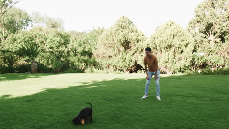 asian man playing fetch with dog in sunny park, enjoying outdoor fun