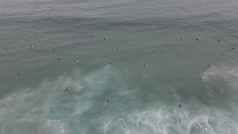 top view of surfers floating on surfboards in the ocean - bondi beach in sydney, australia