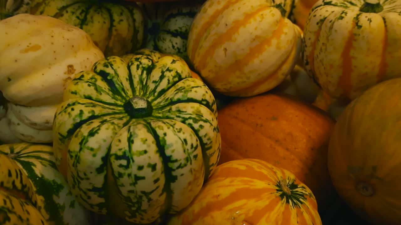 Close up video gliding over decorative colorful and small pumpkins in a supermarket or market in a pile on top of each other, the colorful orange and green fruit are oddly shaped and sized