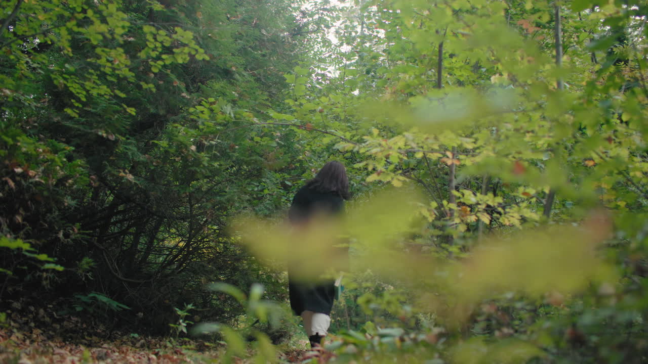 Back view of autumn lover in black coat walking into forest path with book in hand, surrounded by lush green foliage, peaceful solo stroll, contemplative mood, quiet nature escape after rain