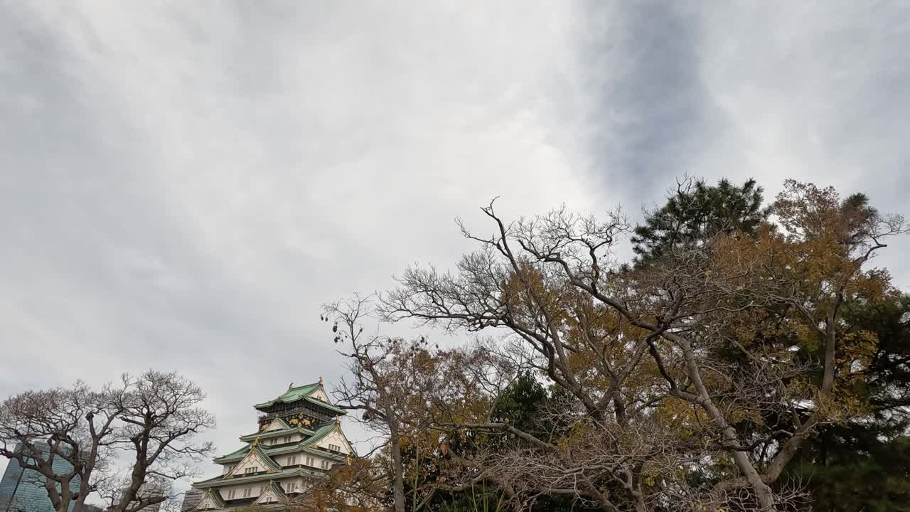 el lapso de tiempo de un castillo detrás de árboles sin hojas