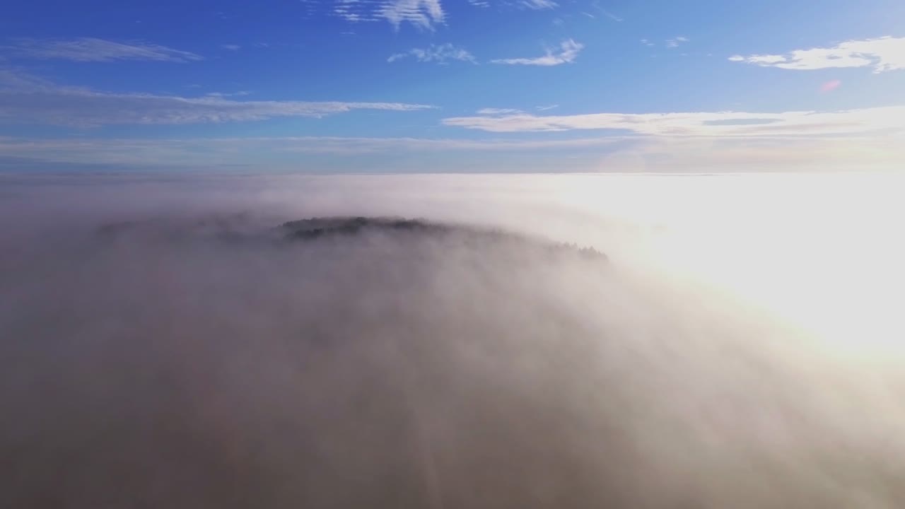 아침 안개 조명 일출 빛으로 둘러싸인 직선 자갈길과 숲