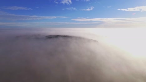 straight gravel road and forest surrounded by morning fog illuminated sunrise light