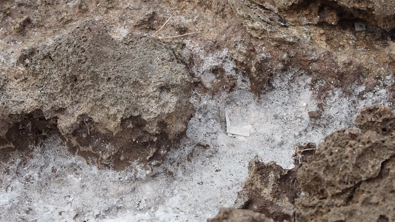 Rough sea salt formations on rocky ground, natural textures in Menorca landscape