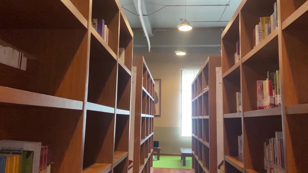 Moving Through a Library Aisle with Empty Wooden Bookshelves