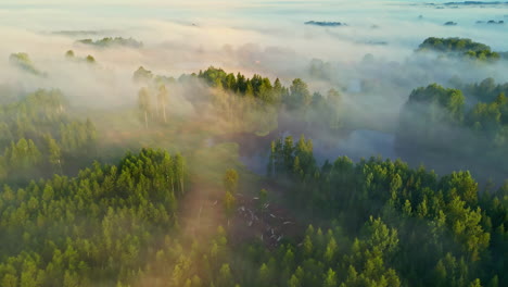 Fog-drifts-over-a-lush-green-forest-in-a-serene,-early-morning-aerial-view