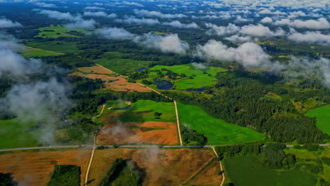 agriculture multicolor field, grass and forest woodland, aerial above clouds