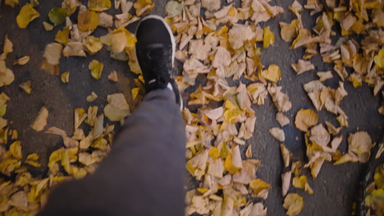 Slow-motion walk through piles of gold and yellow leaves from a top-down perspective