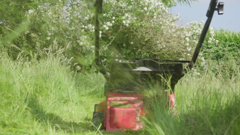 Person-mowing-overgrown-grass-with-a-red-old-combustion-engine-lawnmower-outdoors