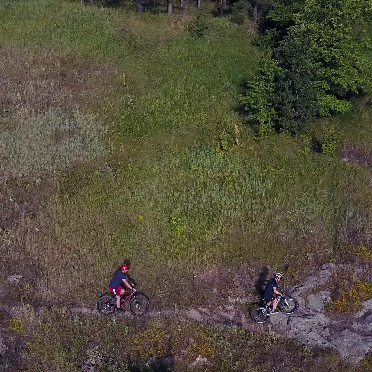 montar en bicicleta por el camino del bosque