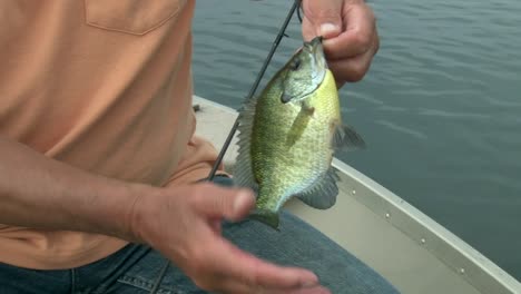 a man on a boat holds a fish caught on a fishing rod