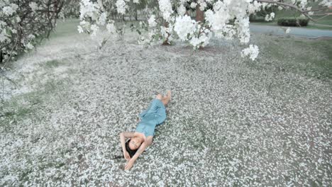 woman relaxing under a blossom tree in a park
