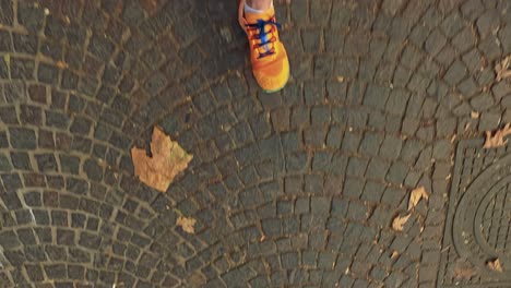 feet walking on cobblestone with autumn leaves