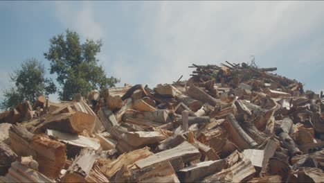 Haufen-Holzstämme-Nach-Dem-Abholzen-Eines-Waldes