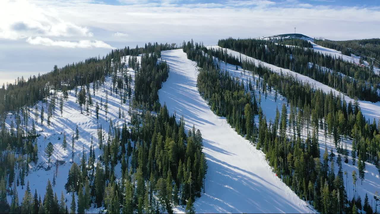Aerial footage of a winter mountain with ski trails winding through pine trees, capturing the serene beauty and excitement of alpine skiing in a natural setting