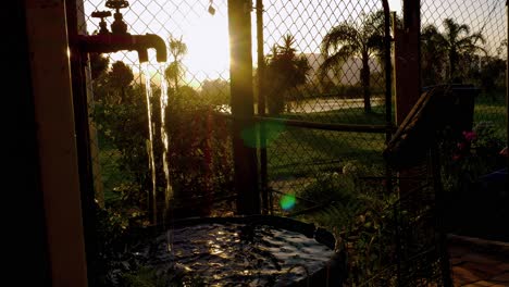 Water-from-old-taps-fall-into-half-wine-barrel-during-sunset