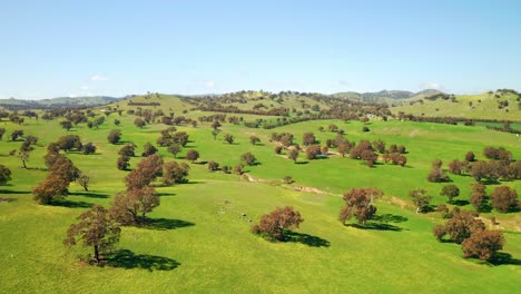 campo verde y colinas onduladas en el interior australiano durante el verano