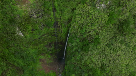 scenic waterfall in the end of levada caldeirao verde, madeira, portugal - aerial drone shot