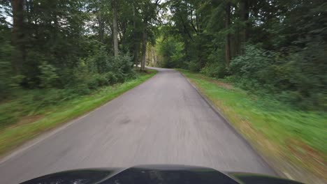pov conduce en un bosque en el oeste de dinamarca