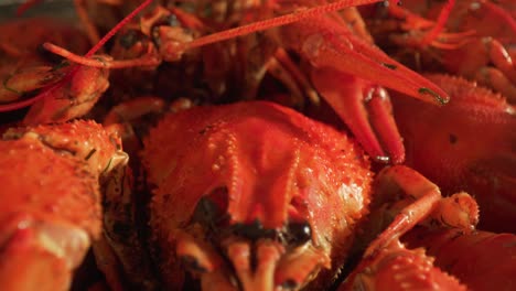 boiled crayfish close-up